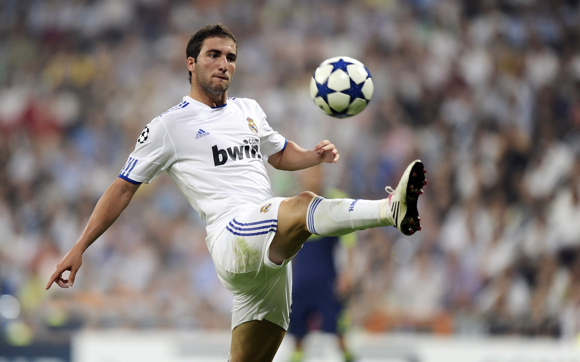 开云kaiyun-从逆境到荣耀：追寻那段难忘的夺冠历史，从逆境中走出来的经历